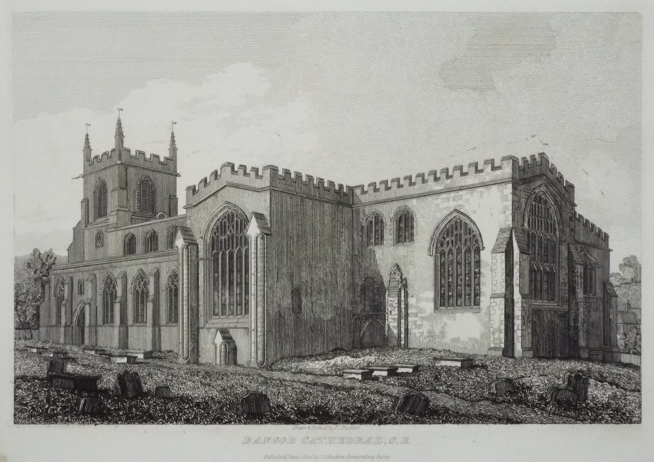 Etching - Bangor Cathedral, S.E. - Buckler